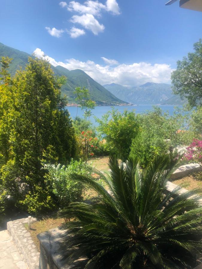 Villa Biskupovic With Stunning Views Kotor Zewnętrze zdjęcie